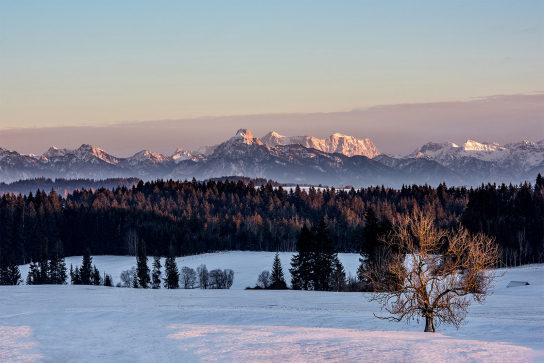 Ausblick auf Zugspitze und Säuling im Winter